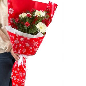 Kırmızı Desenli Bukette Kokina Yılbaşı Çiçeği & Beyaz Gerbera